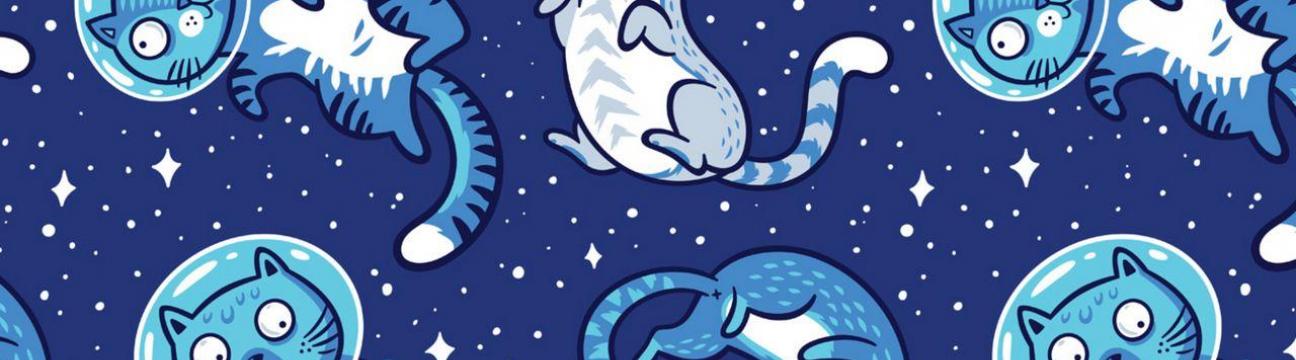 Space 馃懡